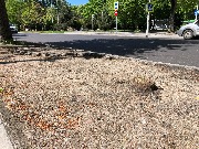 IMG_0680.JPG
