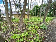 IMG_2309.JPG