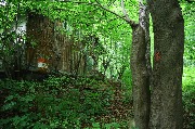 565A9714.JPG