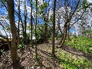 IMG_2298.JPG
