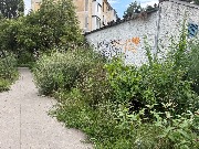 image-01-08-25-05-45-7
