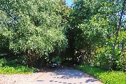 565A9357-1.jpg