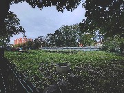 горького5