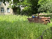 image-09-06-25-10-54-7