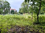 IMG_4058.JPG