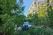 дадаева