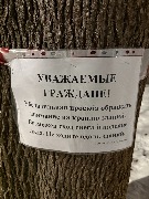 image-07-01-26-07-58-1