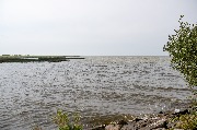 DSC_7454.jpg