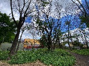 IMG_2290.JPG