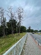 image-24-07-23-07-26-2