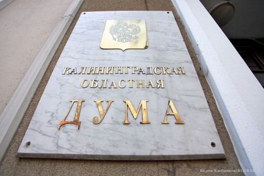 Из кого выбирать: Облдума
