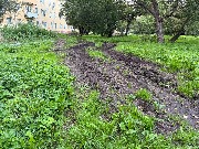 image-14-08-25-08-05-21