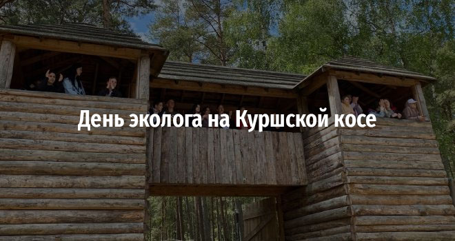 День эколога на Куршской косе (0+)