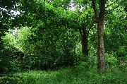 565A9738.JPG
