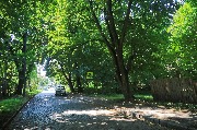 565A9338-1.jpg