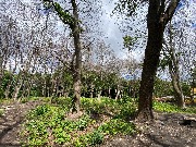 IMG_2301.JPG