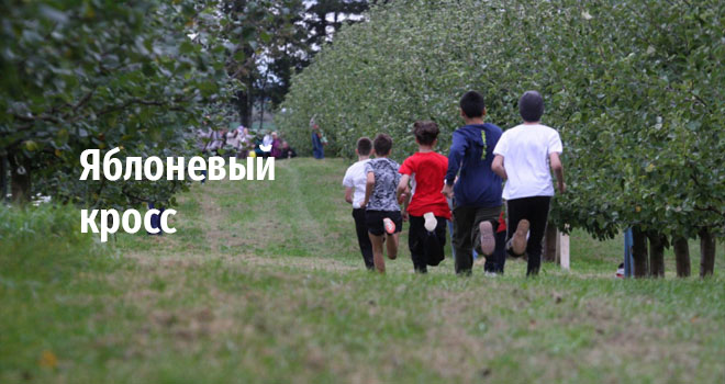 Яблоневый кросс (0+)