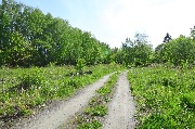 565A3898.JPG
