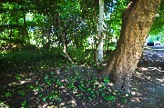 565A9347-1.jpg