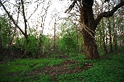 565A8814.JPG