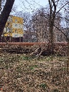 photo_2026-04-04 09.43.02.jpeg