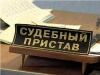В 2011 году в отношении региональных судебных приставов было возбуждено 10 уголовных дел
