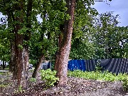 IMG_4034.JPG