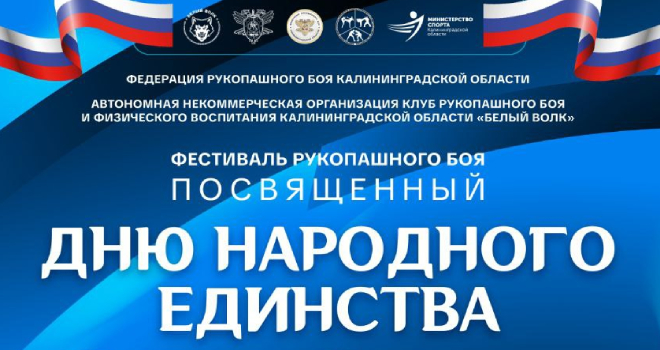 Фестиваль рукопашного боя, посвященный Дню народного единства (6+)