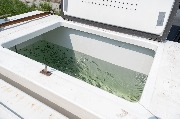 DSC_7401.jpg