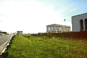 IMG_9534-1.jpg