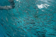 DSC_7232.jpg