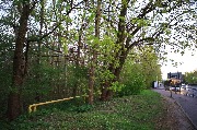 565A8847.JPG