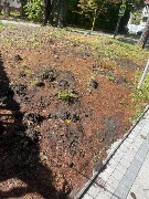 IMG_7061.jpeg