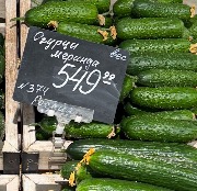 image-16-02-26-07-56-3