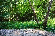 565A9351-1.jpg