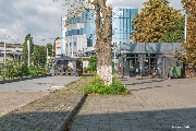 P1110743.jpg