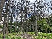 IMG_2303.JPG