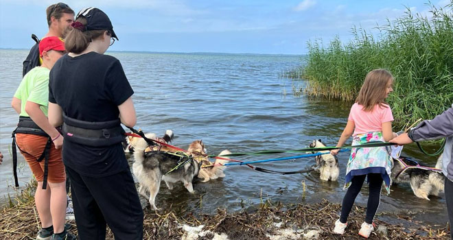 Поход в компании Хаски (6+)