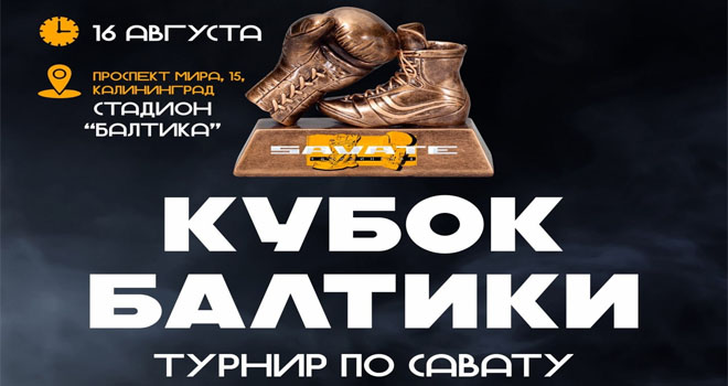 Турнир по савату. Кубок Балтики (0+)