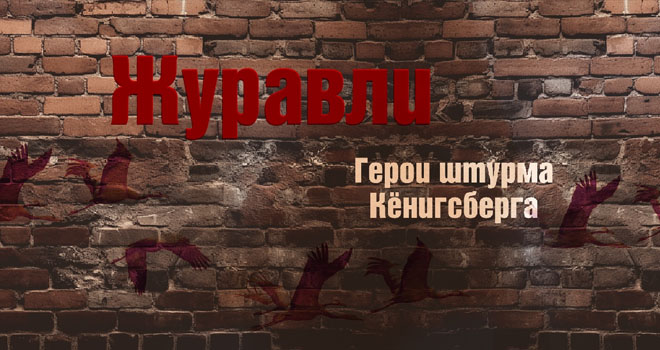 Журавли. Герои штурма Кёнигсберга (12+)