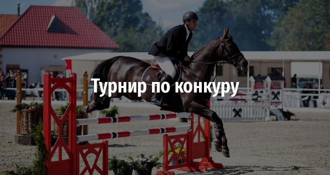 Турнир по конкуру (0+)