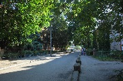 IMG_6961.JPG