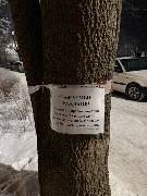 image-07-01-26-07-58-3