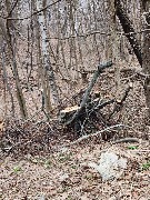 photo_2026-04-04 09.43.00.jpeg