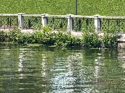 image-21-07-25-08-21-3
