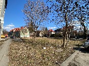 IMG_1988 беломорская участок.jpg