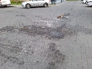 01.2 (сент - окт 2025).jpg