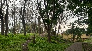 IMG_4164.jpg
