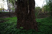 565A8816.JPG