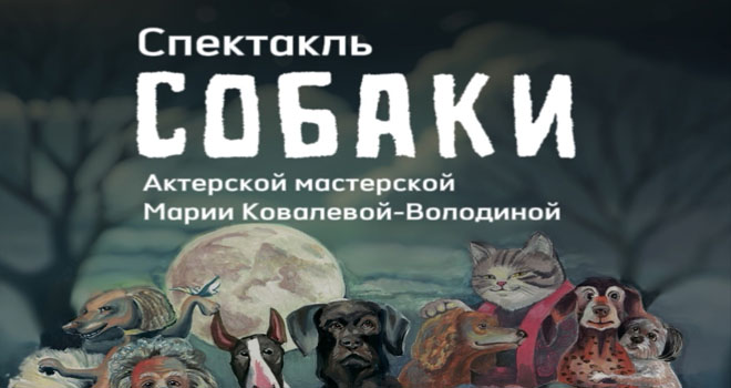 Собаки (6+)